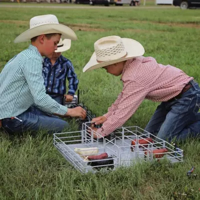Little Buster Feedlot Setup with Angus, Hereford, and Charolais Cattle | 1:16 Scale