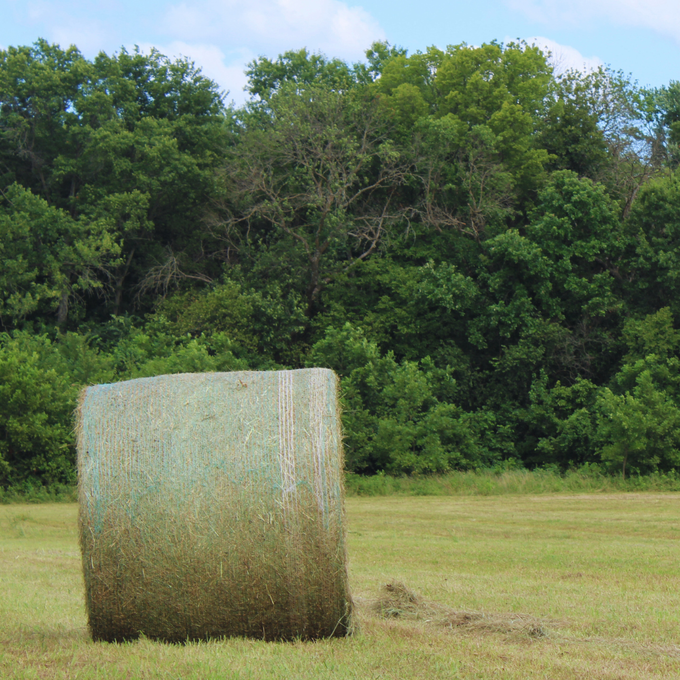 Bale Tuff Net Wrap 64x9000